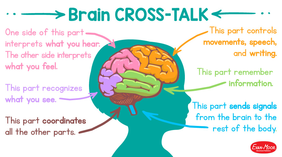 Brain cross-talk